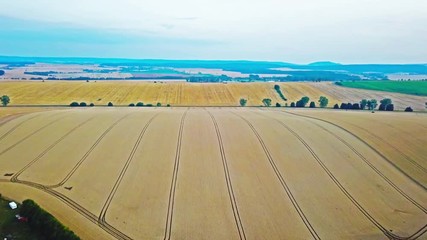 drone aerial over an agricultural landscape in the countryside
