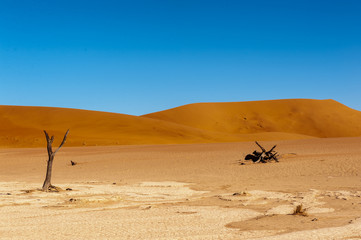 Dead Trees against against the red backdrop of the towering sand dunes of Namibia's Deadvlei