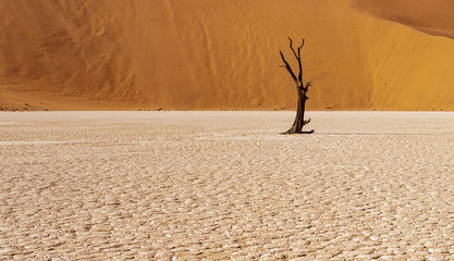 Dead Trees against against the red backdrop of the towering sand dunes of Namibia's Deadvlei