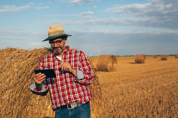 Naklejka na ściany i meble farmer using tablet on wheat field