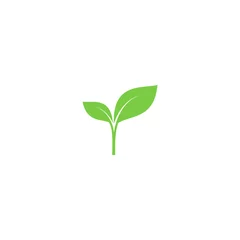 Tuinposter Young sprout green vector icon. Sprout with leaves simple plant symbol. © Tsvetina