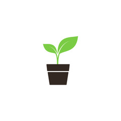 Young sprout in a pot simple vector icon. Green plant with leaves in a pot symbol.