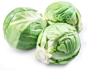 Green brussel sprouts on white background.
