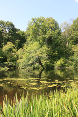 Fototapeta premium Beautiful summer landscape with river