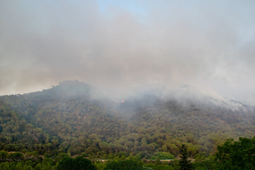 Burning mountains, fire in the forest in Capellades, Catalonia, Spain