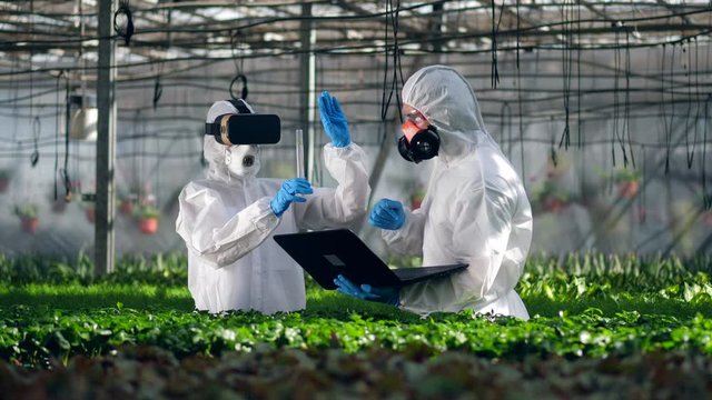 Two scientists are holding a digital research in the greenhouse