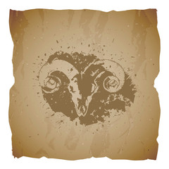 Vector illustration of hand drawn skull ram and grunge elements on old torn edges background. Texture of old paper.