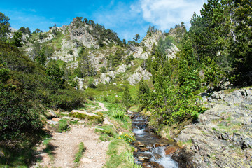 Mountain river landscape in pyrenees, powerful stream of mountain river running down the valley in summer Andorra