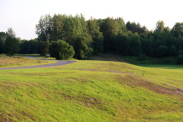 Large field with grass and forest trees