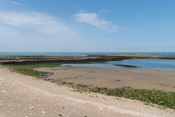 desert nobody beach of the island of Aix in summer France