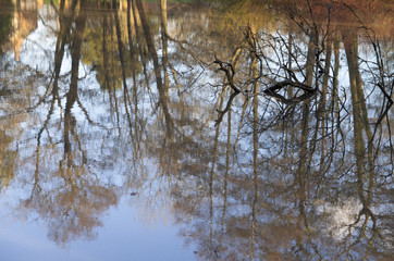 Obraz premium gardens and estate of packwood house warwickshire england uk