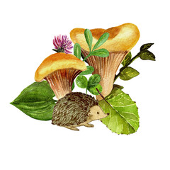 Obraz premium Watercolor mushrooms set.Hand drawing painting.