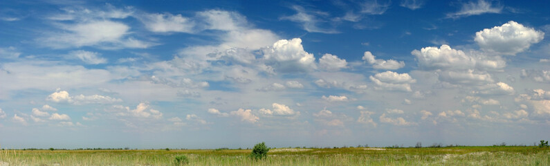 Panoramic sight of spring field and cloudy sky. Beautiful nature landscape.