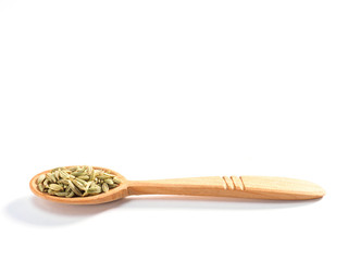 Fennel seeds (Foeniculum vulgare) in a wooden spoon on a white background