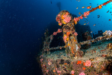 liberty Ship Wreck in bali indonesia indian ocean