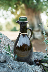 Bottle of olive oil under the olive tree. Blurred nature background.
