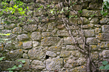 texture wall of a medieval fortress wall