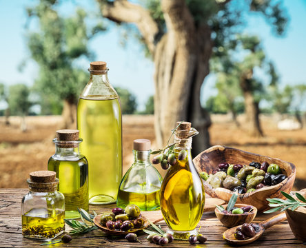 Olive oil and berries are on the wooden table under the olive tree.