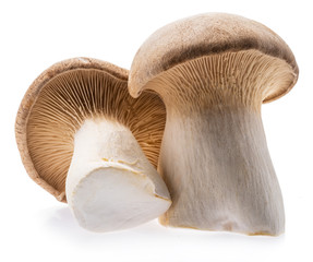 King oyster mushrooms isolated on white background.