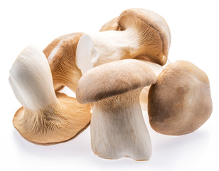 King oyster mushrooms isolated on white background.