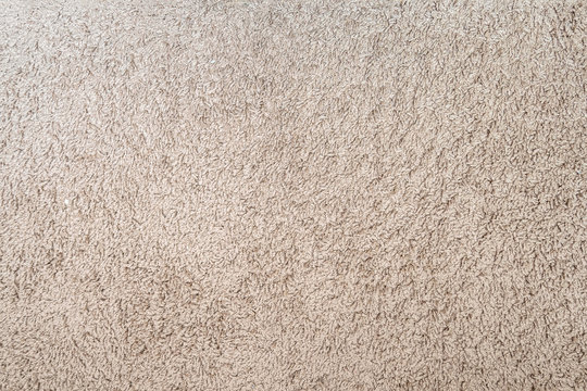 Wool carpet texture