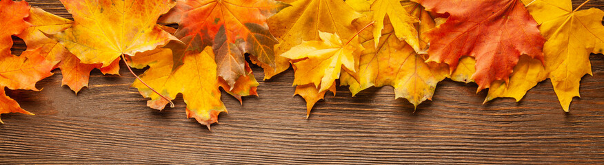 Naklejka na ściany i meble autumn leaf frame for words and inscriptions, copy space