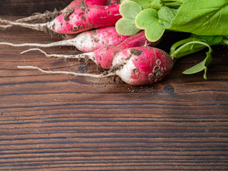 Ugly vegetable green radish with sprouts on a dark wooden natural background.