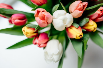 bouquet of tulips on a white background