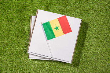 Paper box of pizza with Senegal Flag on the grass. Concept. Top view