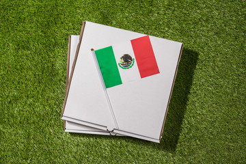 Paper box of pizza with Mexican Flag on the grass. Concept. Top view