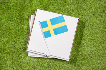 Paper box of pizza with Swedish Flag on the grass. Concept. Top view