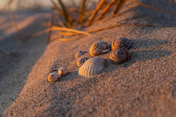 Sommer, Sonne, Urlaub