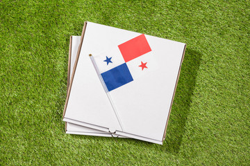 Paper box of pizza with Flag of Panama on the grass. Concept. Top view
