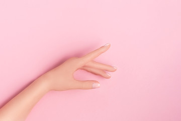 Gentle perfect nude manicure. Female hand on a pastel pink background. Space for text.