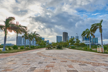 Cancun city landscape with palm trees in windy weather. Mexica.