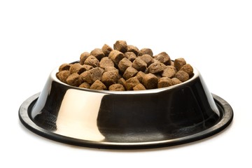 Dog Bowl Filled with dry dog food