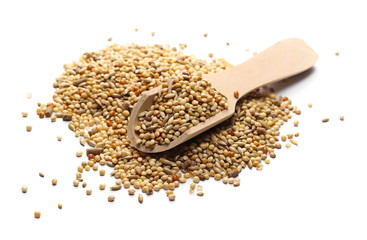 Mixed bird seeds, millet pile with wooden spoon isolated on white background