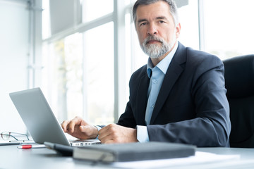 Senior businessman working on laptop computer