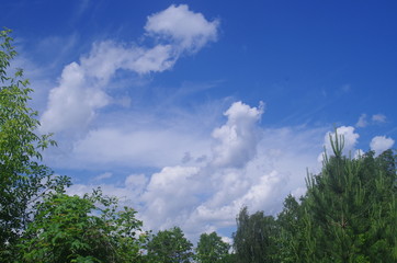 Fototapeta premium Sky