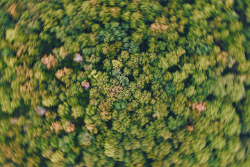 Aerial top view forest, Texture of forest view from above.
