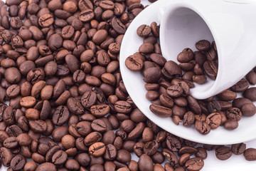coffee seed aroma drink food