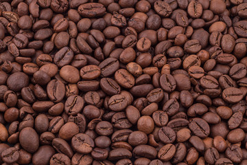 coffee seed aroma drink food