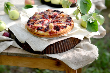Cake with plums and apples on a wooden table in the garden