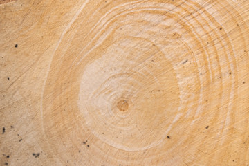 upper view of wood pattern background