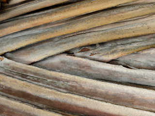 dry palm leaf texture