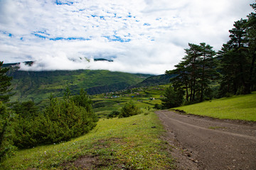 Fototapeta na wymiar Mountain dirt road in summer landscape