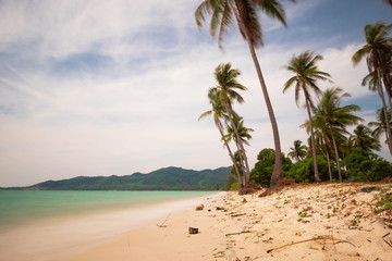 scenery beautiful of white beach and wind hit coconut tree in sea south Thailand, Phang Nga, Koh Yao Yai