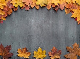 Naklejka na ściany i meble Seasonal autumn background. Frame of colorful maple leaves.
