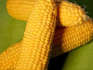 organic and fresh corns on green background