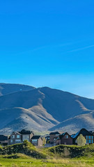Vertical frame Houses on a terrain covered with grasses under blue sky on a sunny day